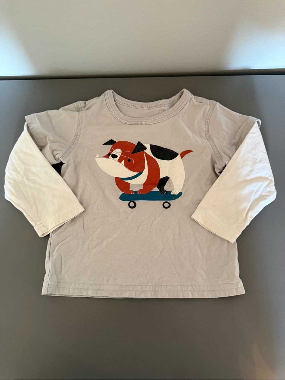 Tea Collection Beige Gray Long-Sleeve Tee with Skateboard Dog Graphic